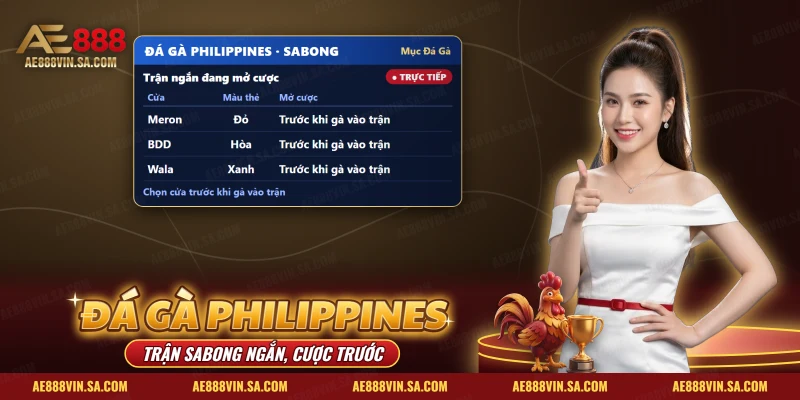 Đá Gà Philippines AE888 – Đấu Trường, Cách Theo Dõi Và Kèo Cược