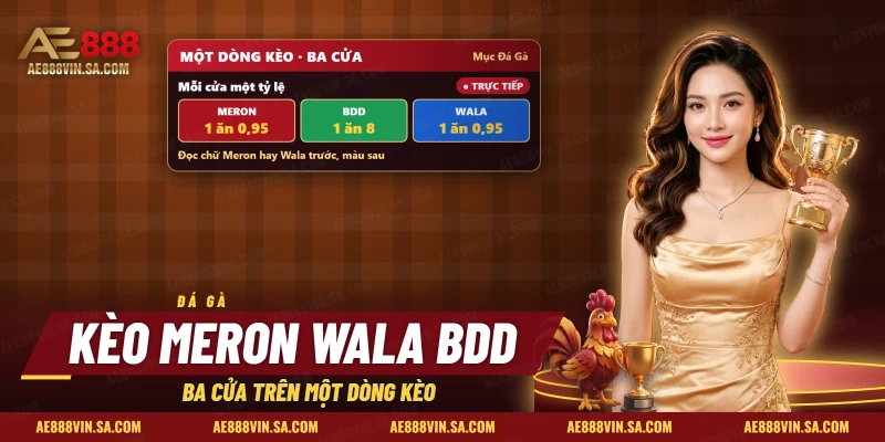 Kèo Đá Gà Meron Wala BDD AE888 – Ba Cửa, Mức Thắng Và Vé Phụ
